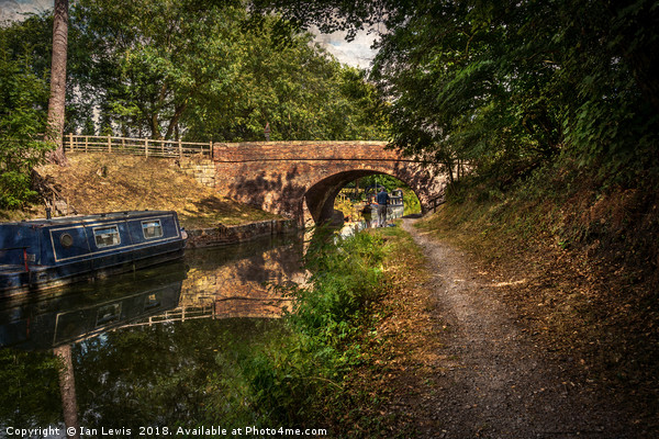 Towpath to Pewsey Bridge Picture Board by Ian Lewis