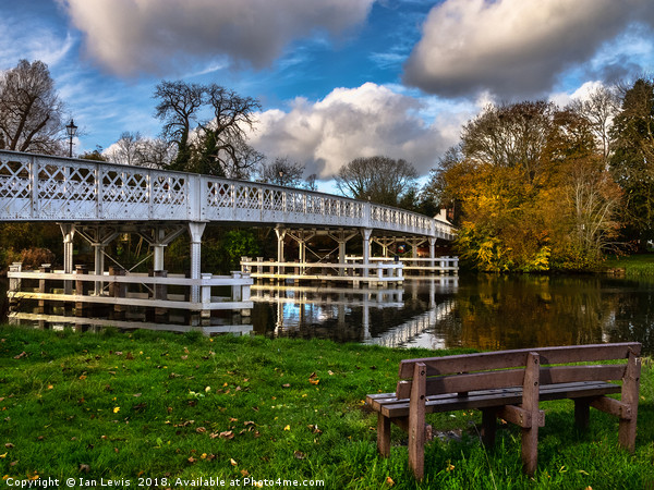 Whitchurch Toll Bridge Picture Board by Ian Lewis