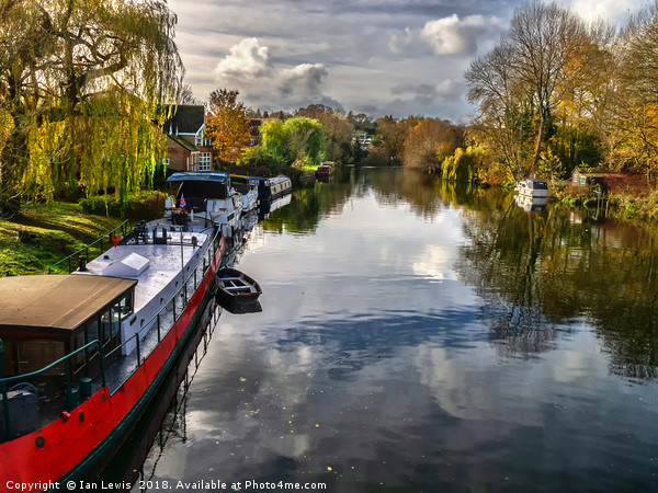 View Upriver From Whitchurch Bridge Picture Board by Ian Lewis