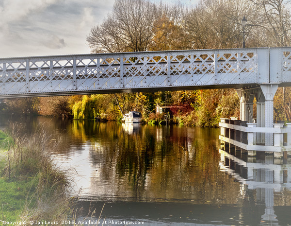 Through Whitchurch Toll Bridge Picture Board by Ian Lewis