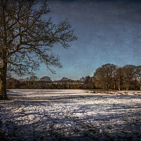 Buy canvas prints of Snowy Tidmarsh Meadows by Ian Lewis