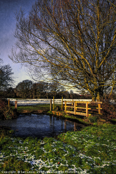 The Brook at Tidmarsh  Picture Board by Ian Lewis