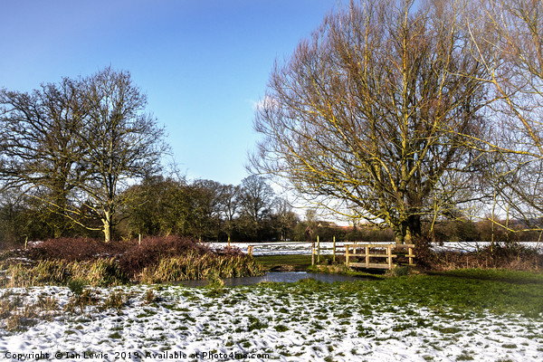 A Cold Morning in Tidmarsh Meadows Picture Board by Ian Lewis