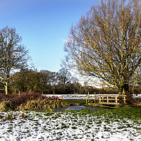 Buy canvas prints of A Cold Morning in Tidmarsh Meadows by Ian Lewis
