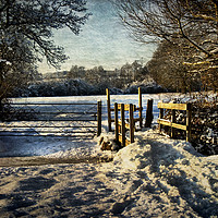 Buy canvas prints of A Snowy Day In Tidmarsh by Ian Lewis