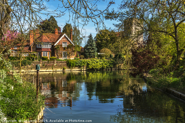 A Backwater At Goring on Thames Picture Board by Ian Lewis
