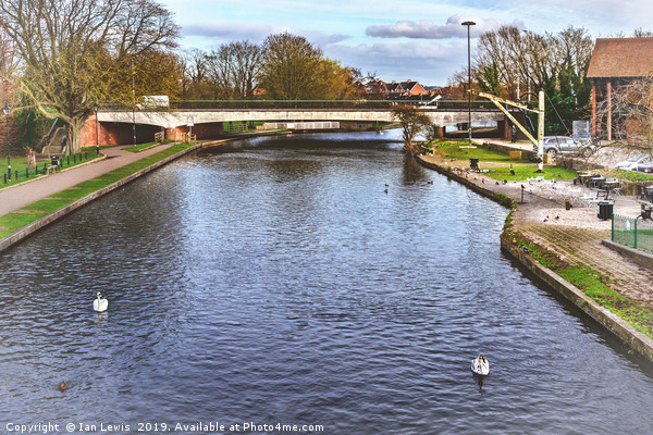 The River Kennet at Newbury Picture Board by Ian Lewis
