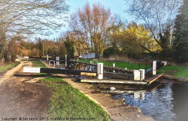 Springtime At Greenham Lock Picture Board by Ian Lewis