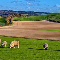 Buy canvas prints of The Berkshire Downs In Springtime by Ian Lewis
