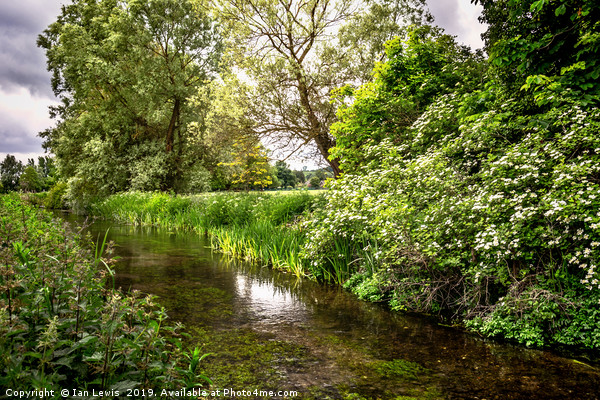 The River Itchen Picture Board by Ian Lewis