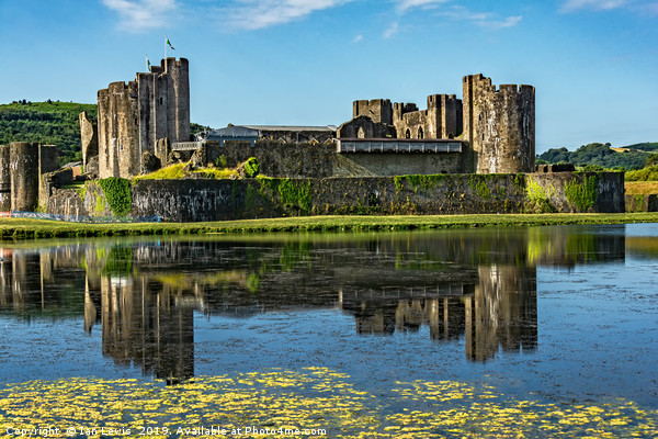 The Towers Of Caerphilly Castle Picture Board by Ian Lewis