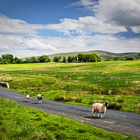 Buy canvas prints of The Road To Caldbeck by Ian Lewis