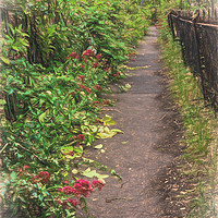 Buy canvas prints of Footpath by Ian Lewis