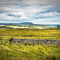 Buy canvas prints of A View From Ribblehead by Ian Lewis