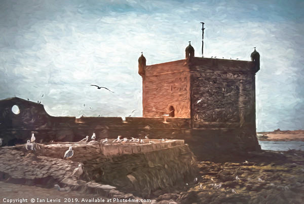 Gulls at Essaouira Citadel Morocco Picture Board by Ian Lewis