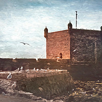 Buy canvas prints of Gulls at Essaouira Citadel Morocco by Ian Lewis