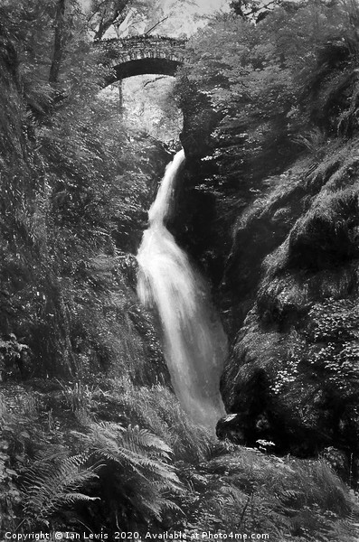 Aira Force Art  Picture Board by Ian Lewis