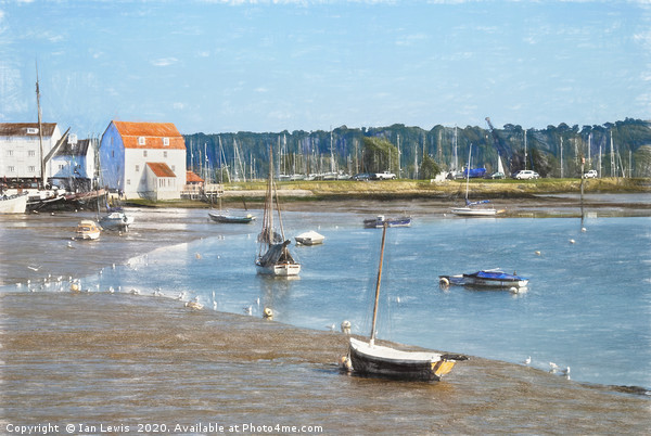 Low Tide At Woodbridge Picture Board by Ian Lewis