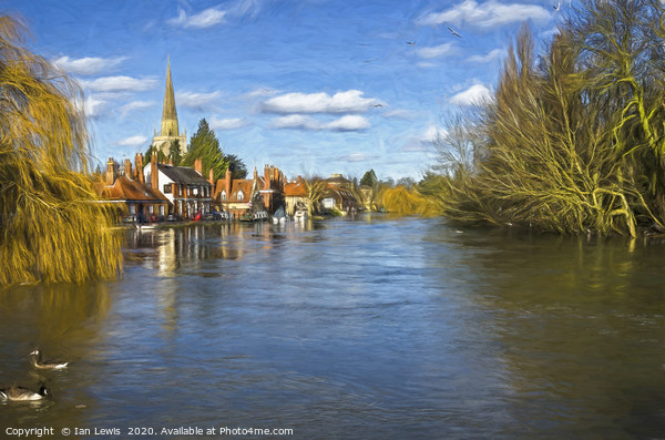 Gulls over Abingdon Art Picture Board by Ian Lewis