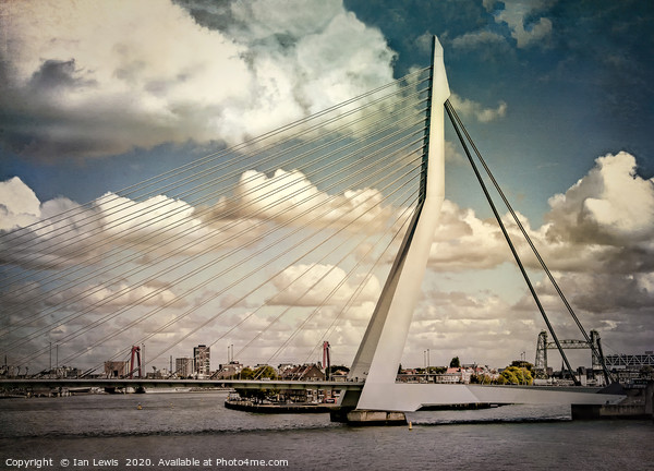 The Erasmusbrug Rotterdam Picture Board by Ian Lewis