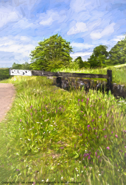 Lock In A Meadow Digital Art Picture Board by Ian Lewis