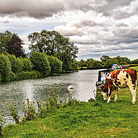 Buy canvas prints of The Thames Path at Lechlade Gloucestershire by Ian Lewis