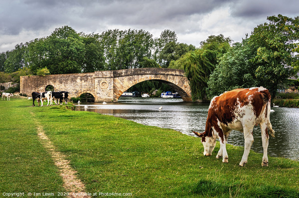 Halfpenny Bridge and Thames Path Lechlade Picture Board by Ian Lewis