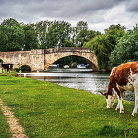 Buy canvas prints of Halfpenny Bridge and Thames Path Lechlade by Ian Lewis