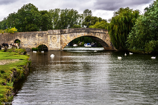Halfpenny Bridge Lechlade Picture Board by Ian Lewis