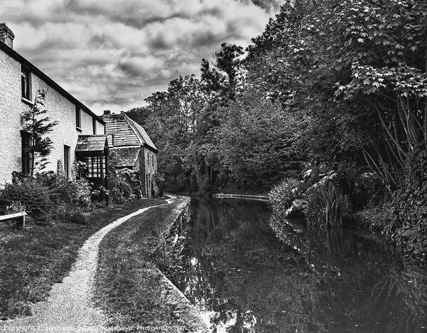 Canalside Cottages At Talybont Picture Board by Ian Lewis