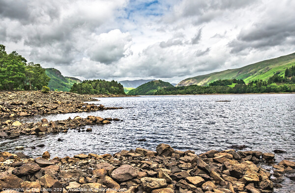 Rocky Shore At Thirlmere Picture Board by Ian Lewis