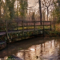 Buy canvas prints of Woodland Bridge Over The River Pang by Ian Lewis