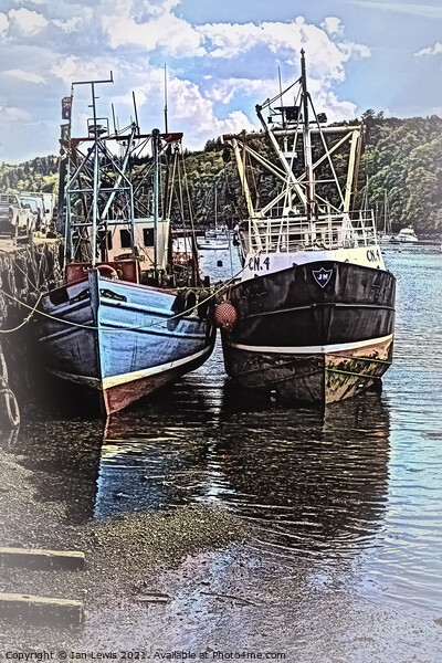 Fishing Boats At Tobermory Picture Board by Ian Lewis