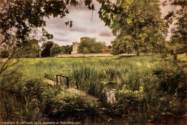 Water Meadows At St Cross Picture Board by Ian Lewis