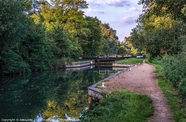 The Kennet and Avon near Sulhamstead Picture Board by Ian Lewis