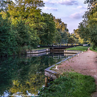 Buy canvas prints of The Kennet and Avon near Sulhamstead by Ian Lewis