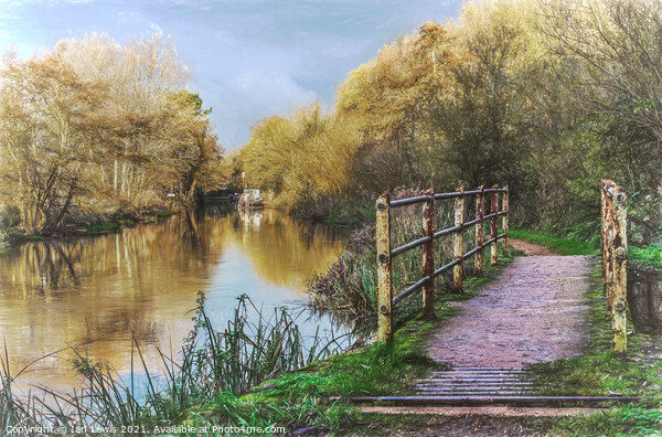 Walking Along The Kennet and Avon Picture Board by Ian Lewis