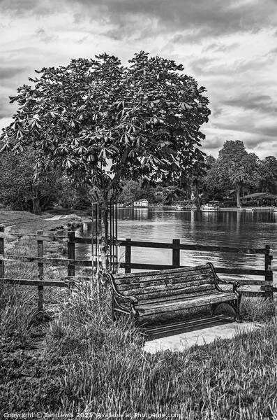 A Bench By The Thames Picture Board by Ian Lewis