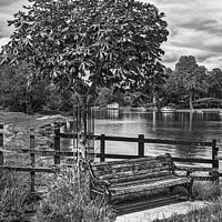 Buy canvas prints of A Bench By The Thames by Ian Lewis