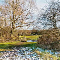 Buy canvas prints of Across The Meadows To Sulham by Ian Lewis