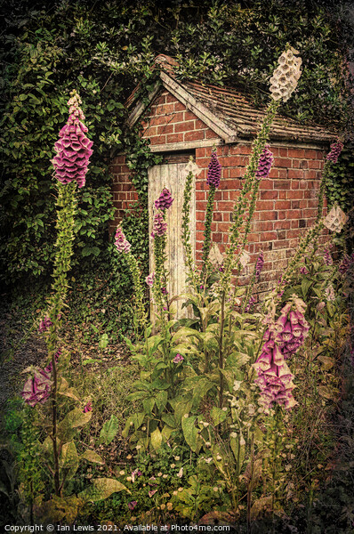 Bottom Of A Cottage Garden Picture Board by Ian Lewis
