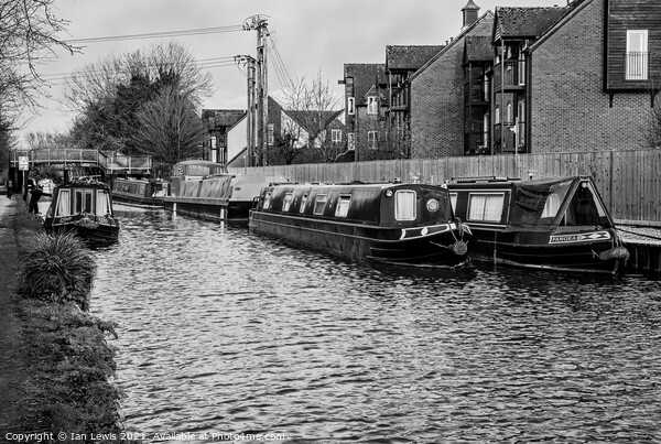 Canalside Moorings At Newbury Picture Board by Ian Lewis