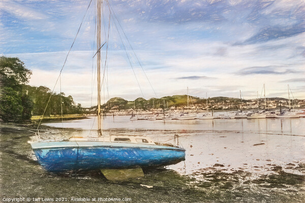 Low Tide On The River Conwy Picture Board by Ian Lewis