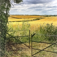 Buy canvas prints of A View From Ipsden by Ian Lewis
