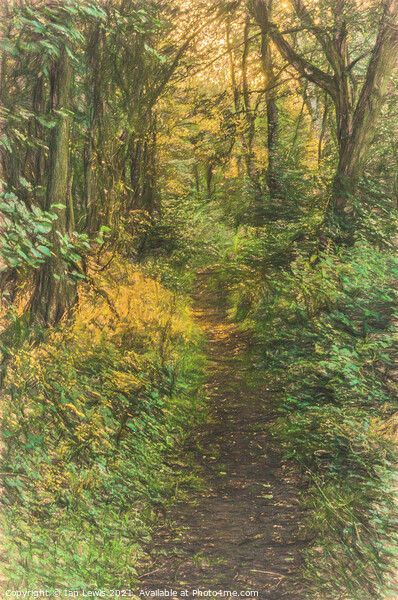 A Woodland Path Picture Board by Ian Lewis