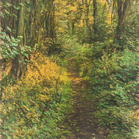 Buy canvas prints of A Woodland Path by Ian Lewis