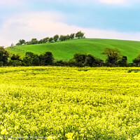 Buy canvas prints of Gold and Green Landscape by Ian Lewis