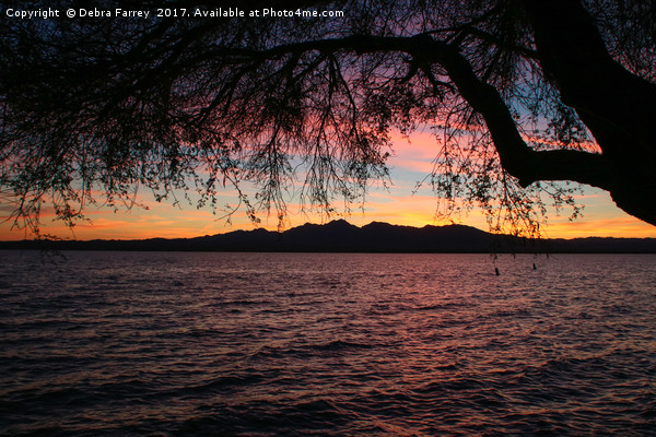 Sunset on Havasu Picture Board by Debra Farrey