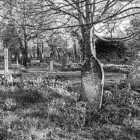 Buy canvas prints of st illogan churchyard by keith sutton