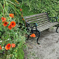 Buy canvas prints of A seat for remembrance by keith sutton